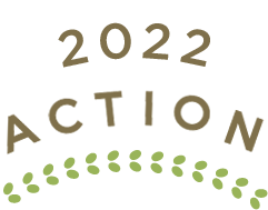2021 NEW ACTION!