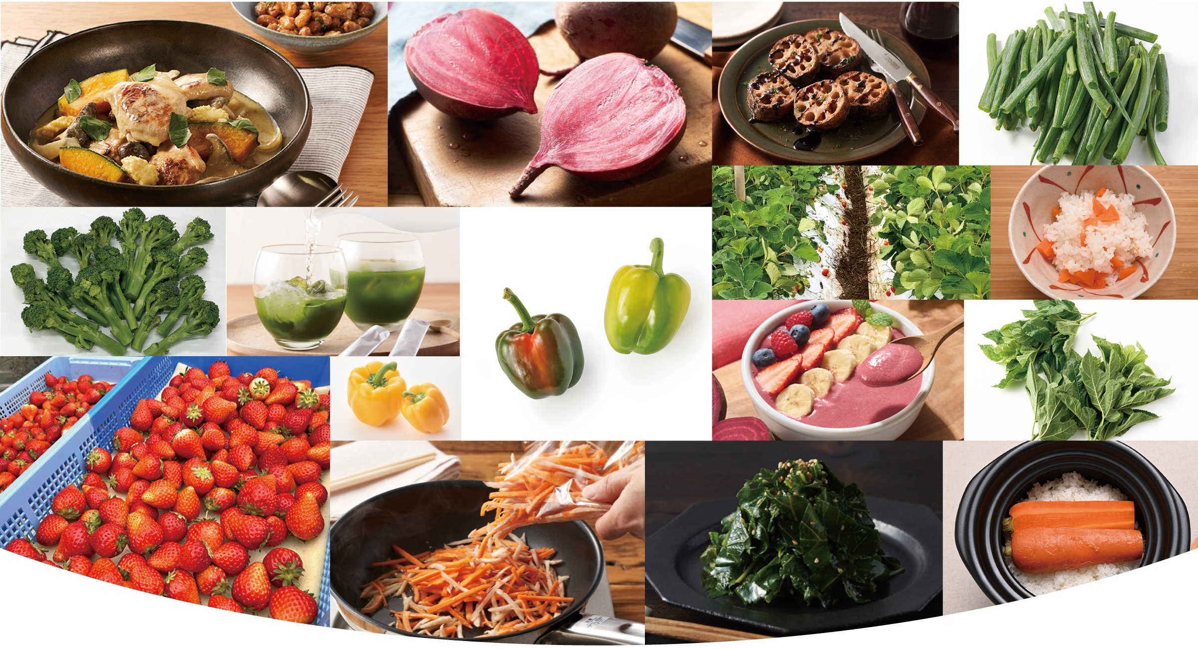 Vegiful Next Trend 2026 Food Collage