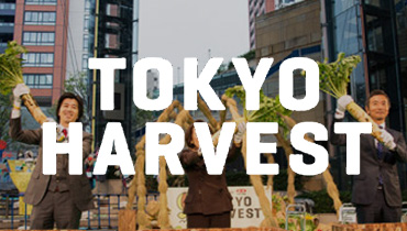 TOKYO HARVEST