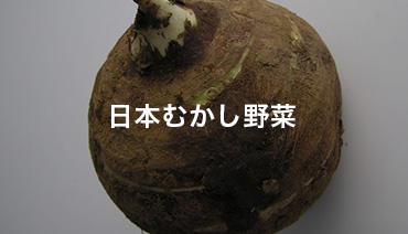 日本むかし野菜