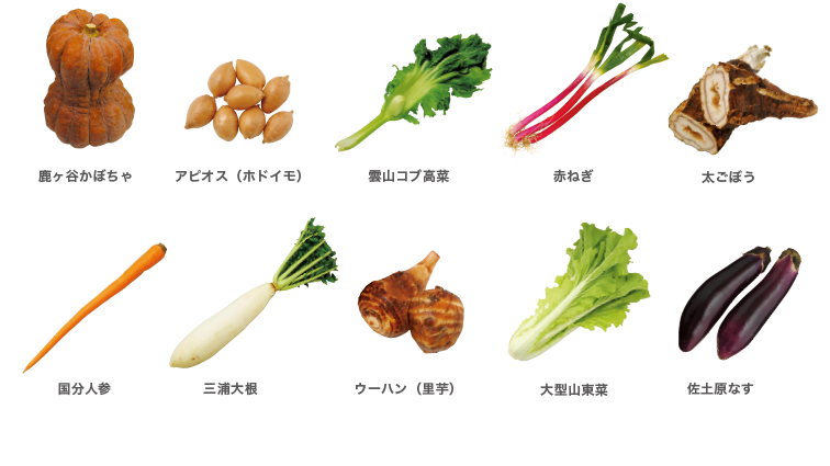 食文化や伝統を未来につなげるために日本各地の種を守る いと愛づらし名菜百選 食文化や伝統を未来につなげるために日本各地の種を守る いと愛づらし名菜百選