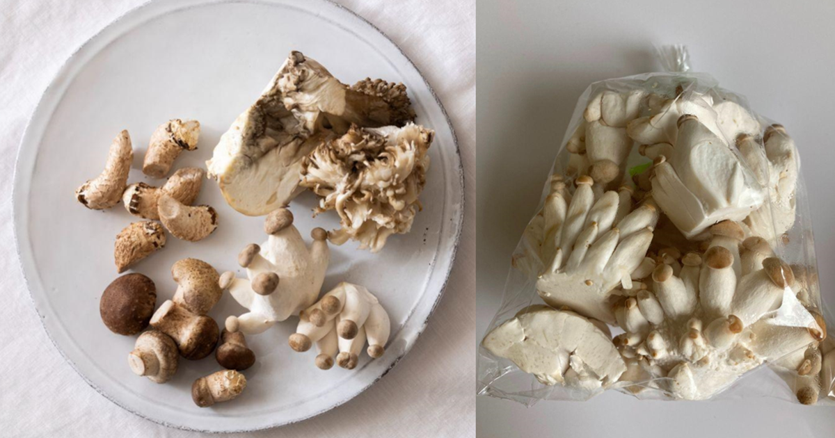 らでぃっしゅぼーや】ふぞろいなきのこを楽しむ4商品の販売開始間引き