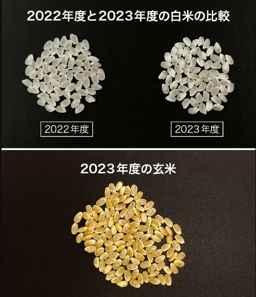 比較画像