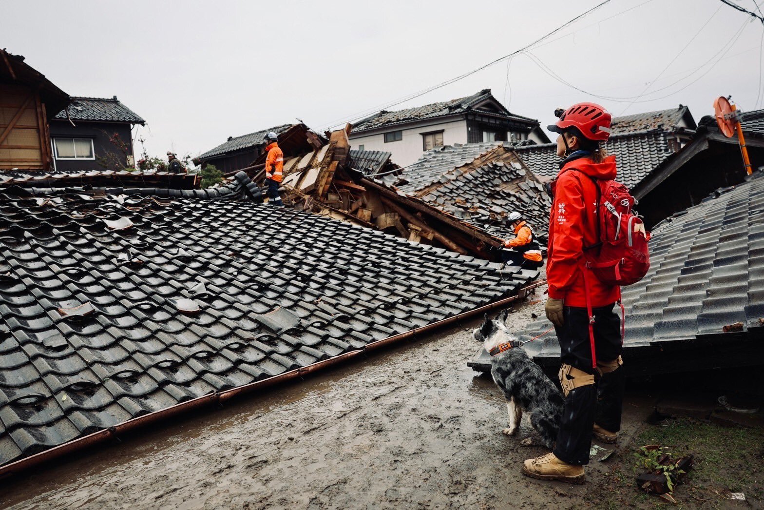 被災地の状況