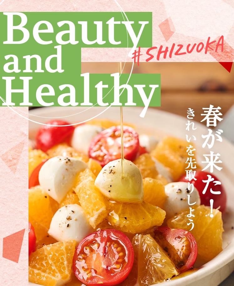 SHIZUOKA丸画像