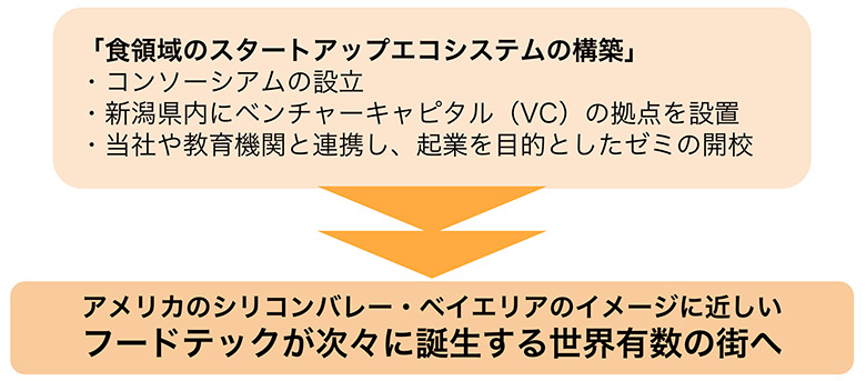 解説資料
