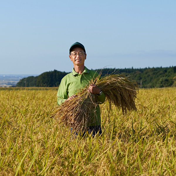 山形県庄内産ひとめぼれ生産者の斎藤さん画像