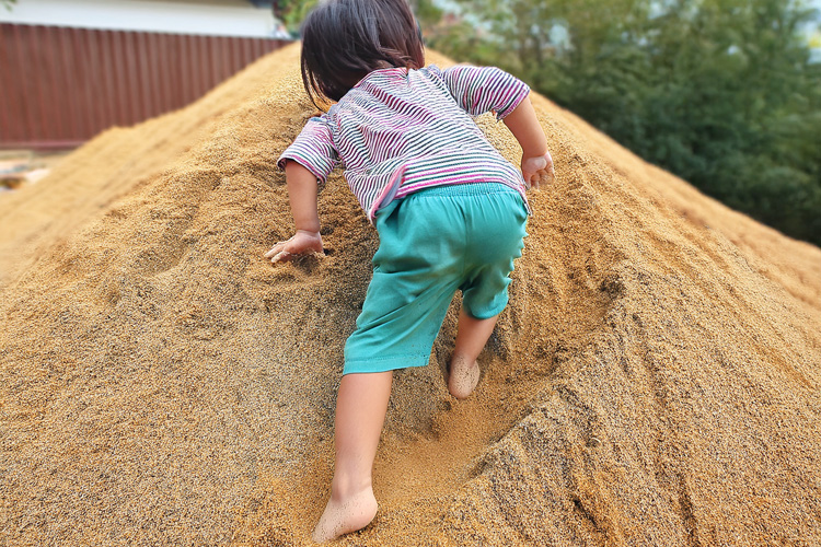 「もみ殻プール」（イメージ）