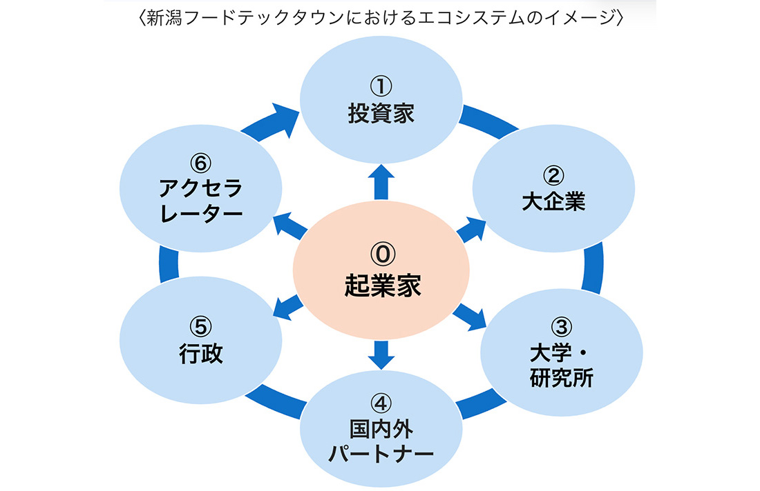 エコシステムのイメージ画像